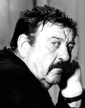 Pavle Vuisić